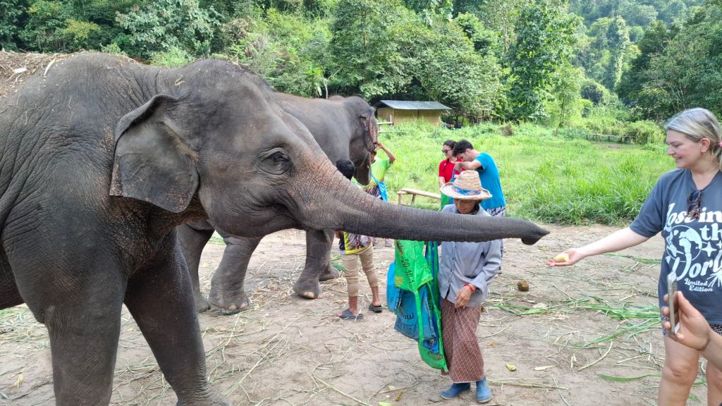 Chiang Mai day 3