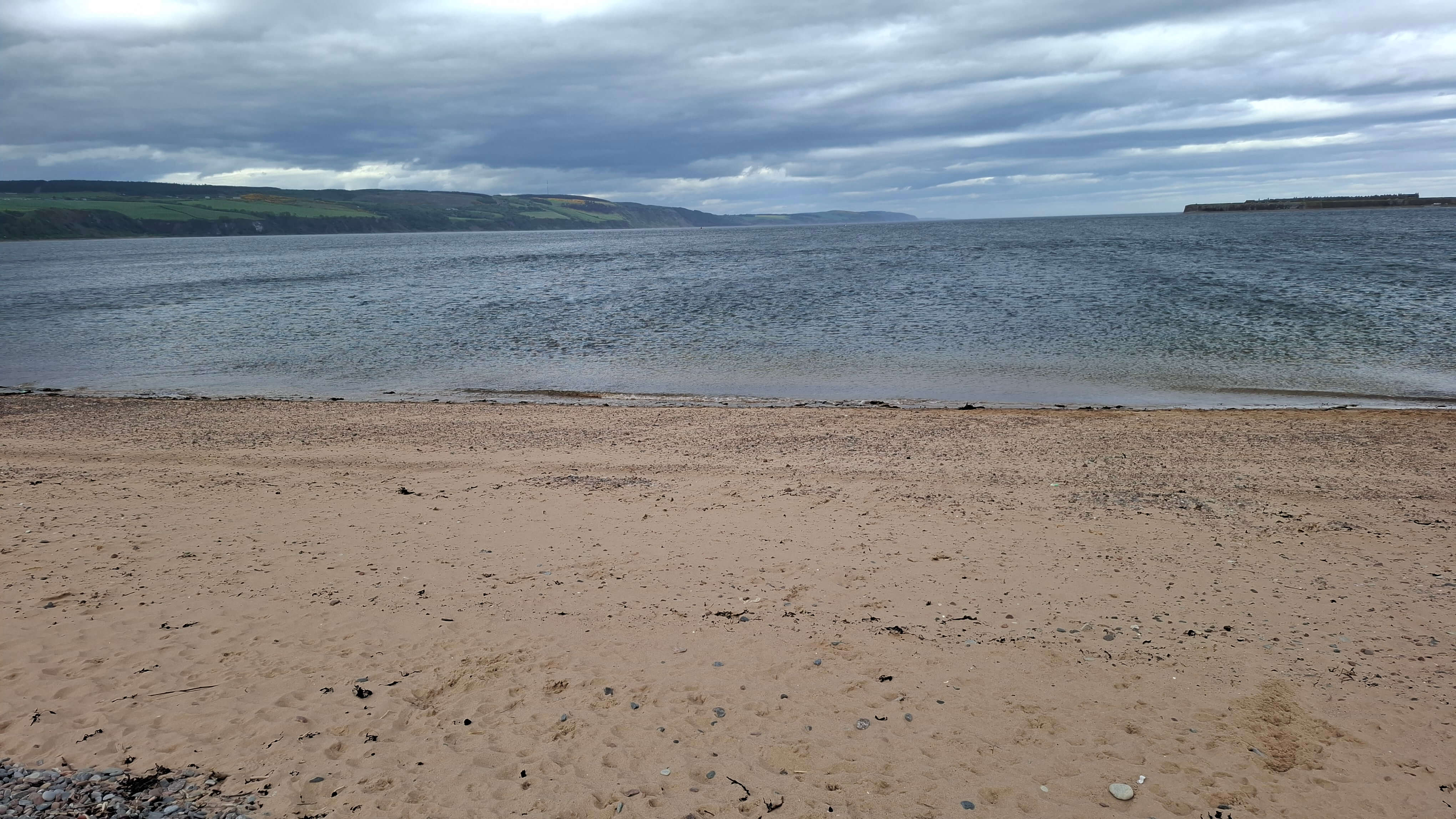 Dolphin watching at Chanonry Bay