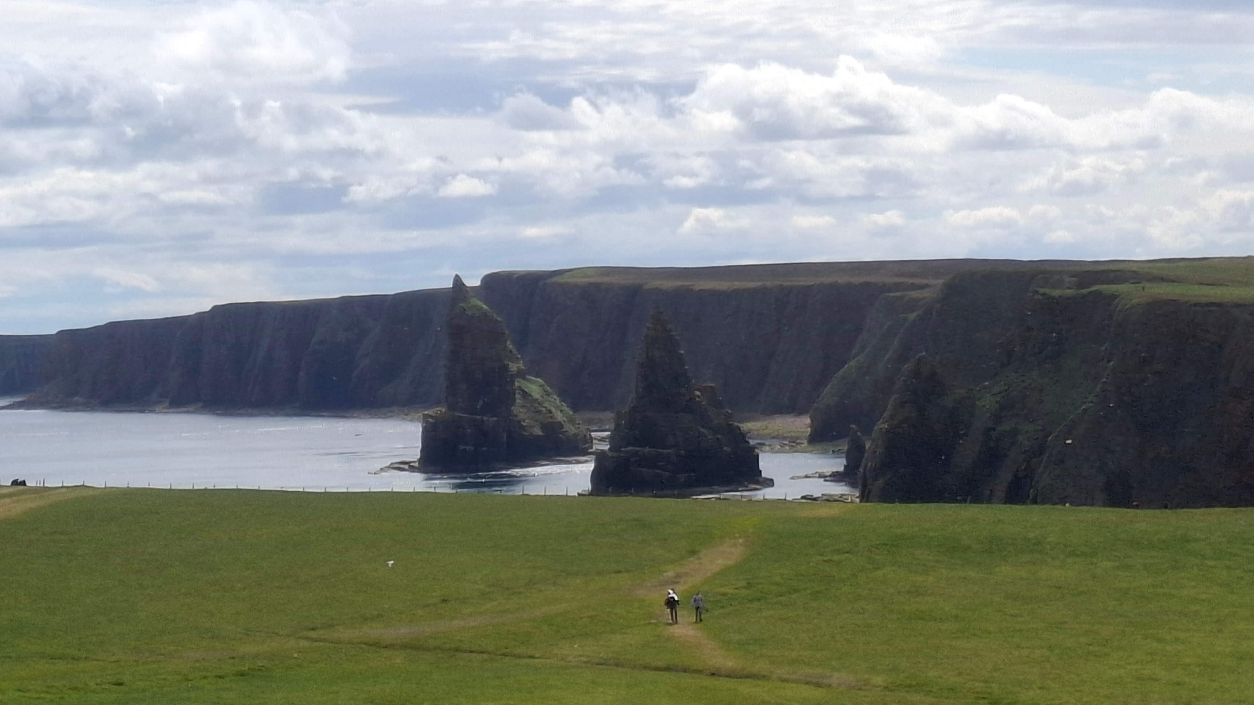 Towering sea stacks