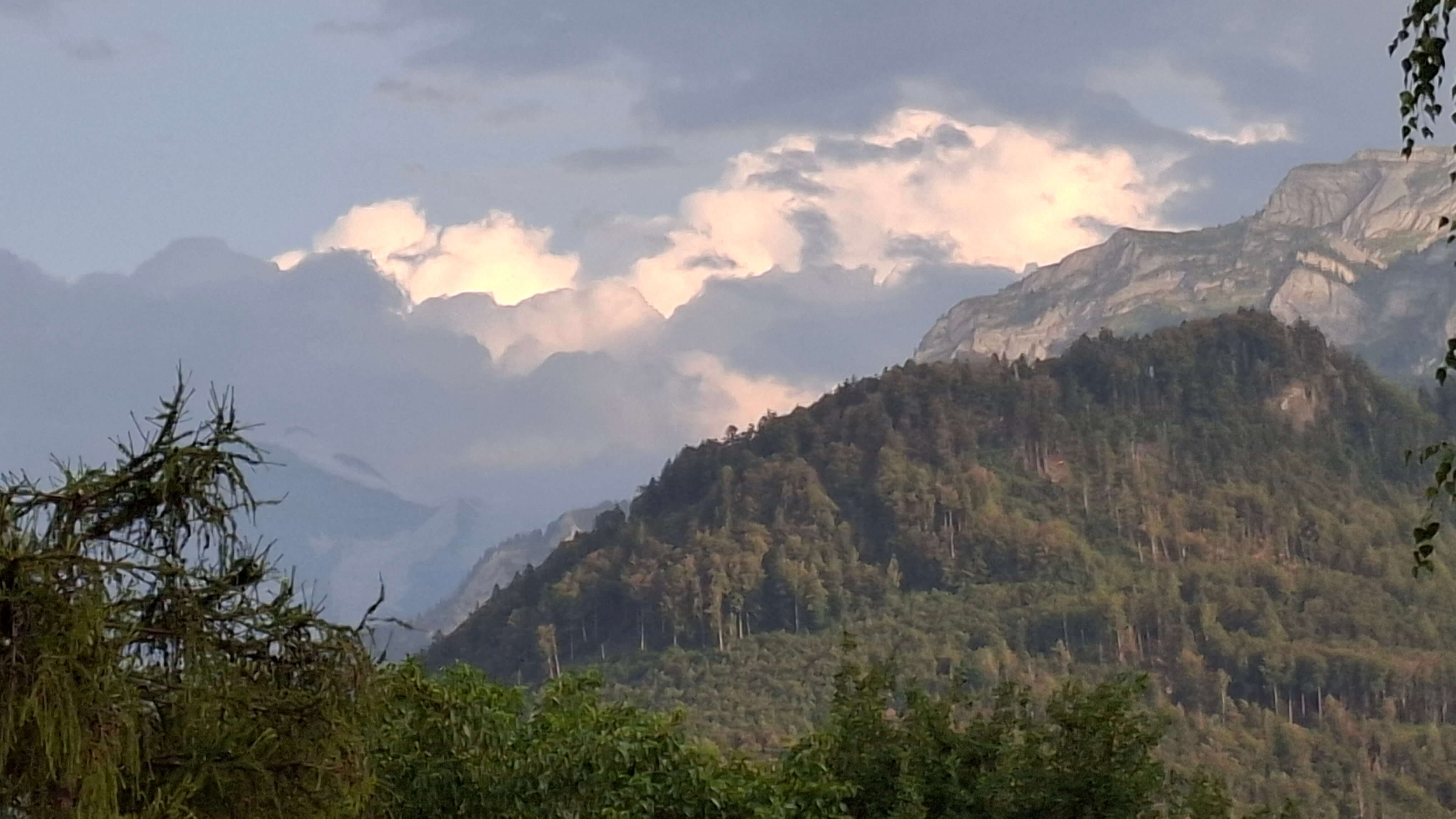 Evening view before thunderstorm