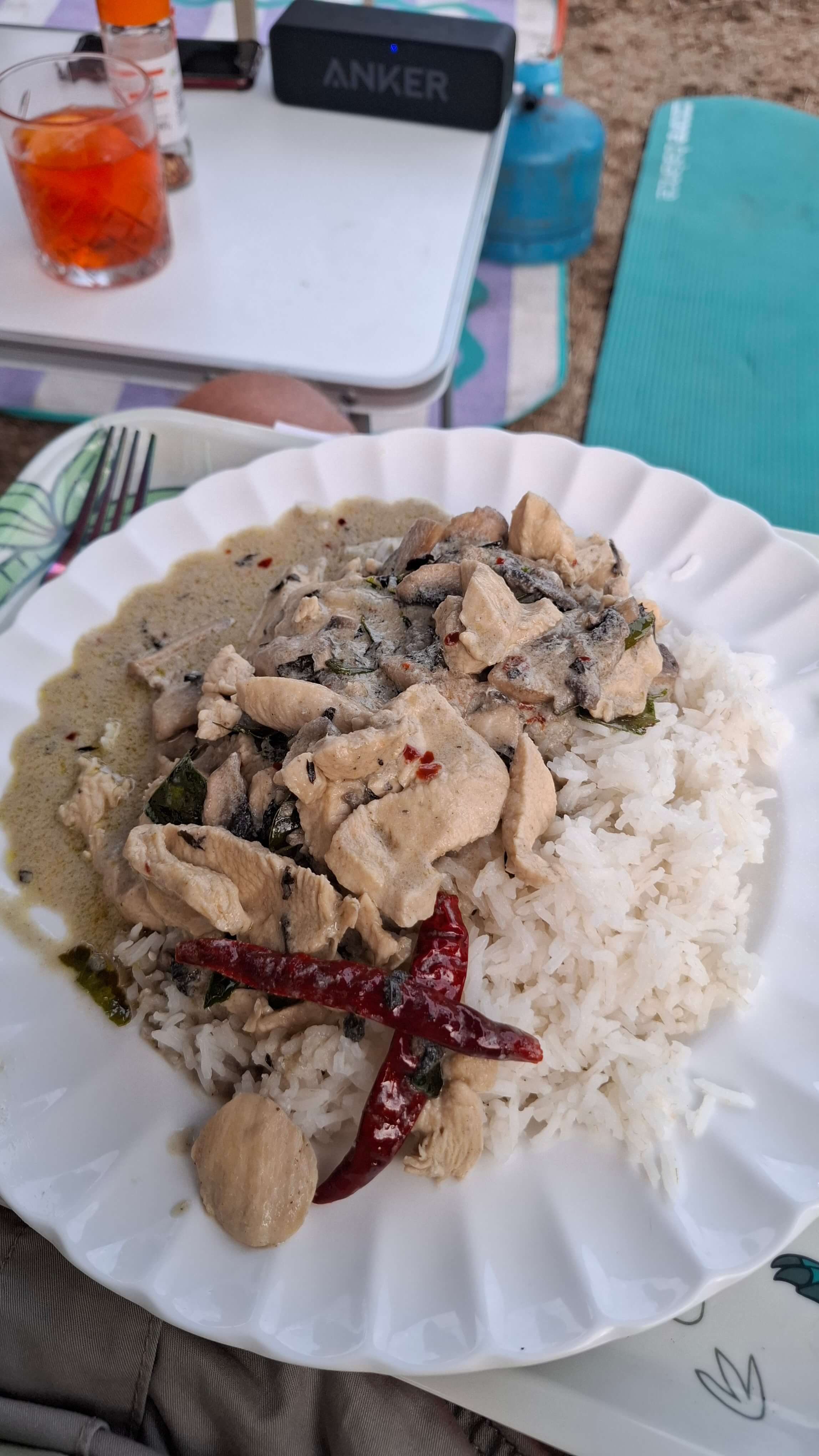 Green Thai curry cooked by Mel