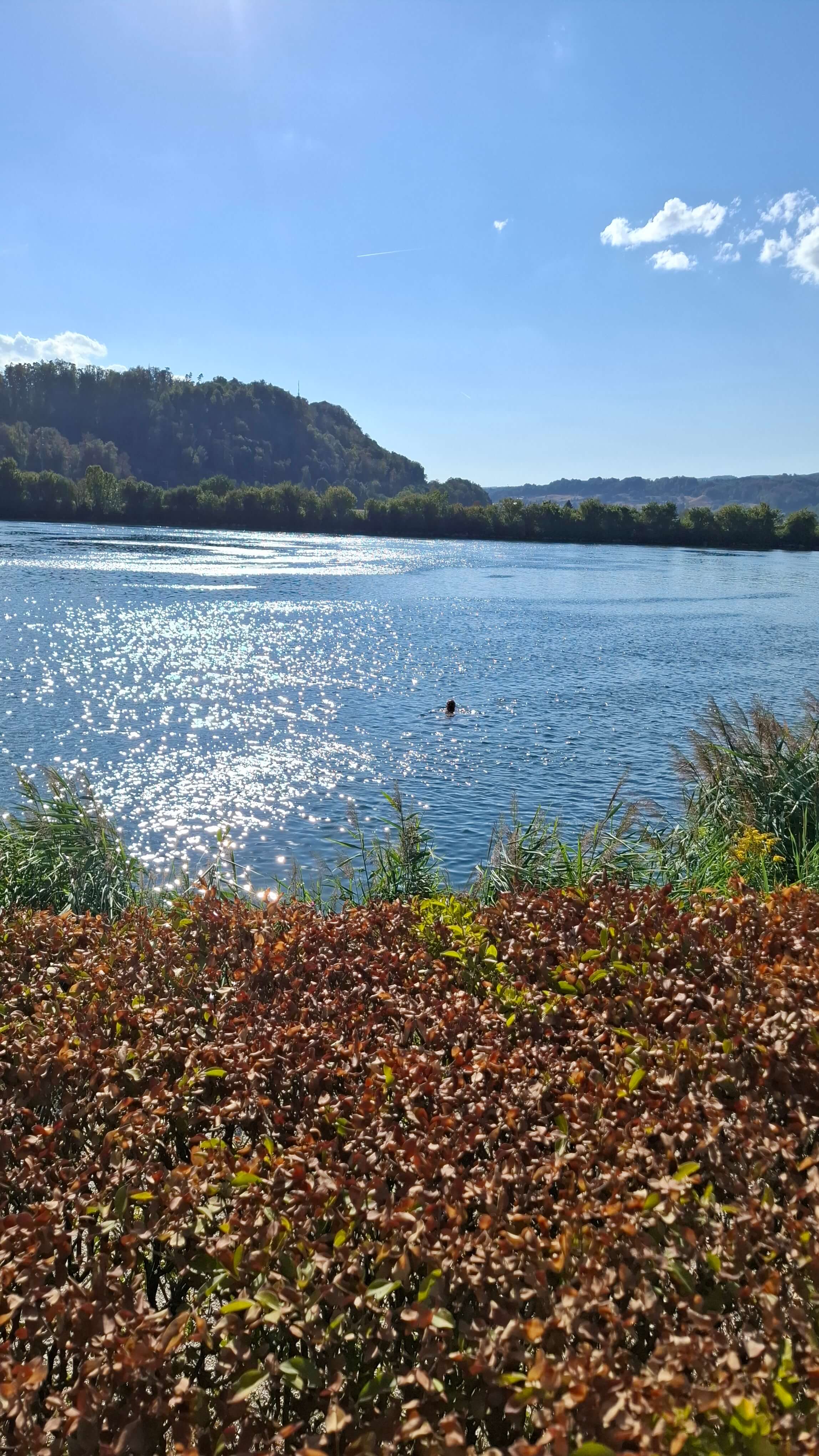 Luxury motorhomes at Rhein Camping